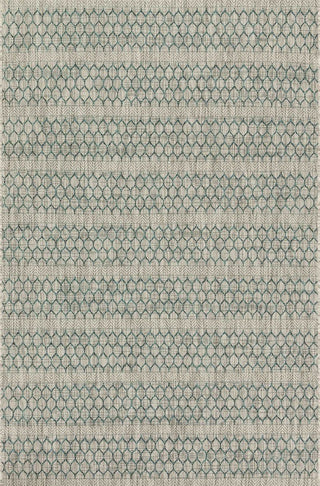 Isle IE-01 Gray Teal Area Rug, 7'10"x10'9"
