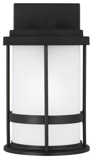 Wilburn Small 1-Light Outdoor Wall Lantern, Black