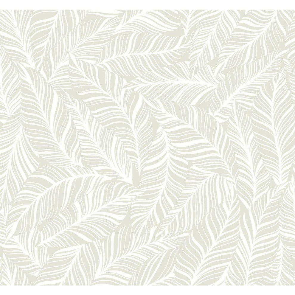 Rainforest Canopy Wallpaper