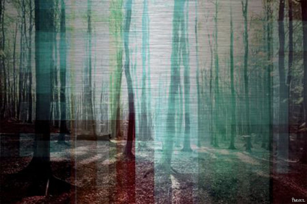 "Green Shadows" Print on Brushed Aluminum, 60"x40"