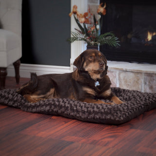Lavish Cusion Pillow Furry Pet Bed, X-Large, Chocolate