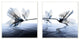 Contrast Black And Blue Flower Water Design 2-Piece Set, 12"x12"