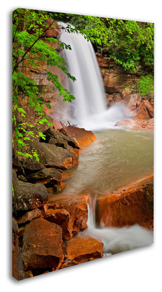 Michael Blanchette 'Douglas Falls' Canvas Art, 24x16