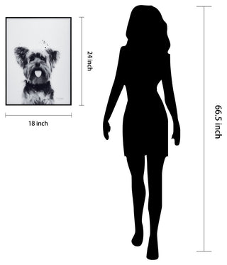 "Yorkshire Terrier" Black and White Pet Art on Printed Glass with Anodized Frame