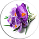 Bunch Of Blooming Crocus Flowers, Floral Large Disc Metal Wall Art, 11"