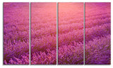 Lavender Field and Ray of Light, Floral Canvas Art Print, 48"x28", 4 Panels