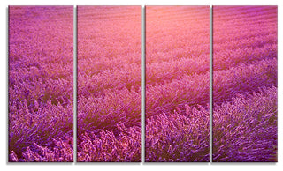 Lavender Field and Ray of Light, Floral Canvas Art Print, 48"x28", 4 Panels