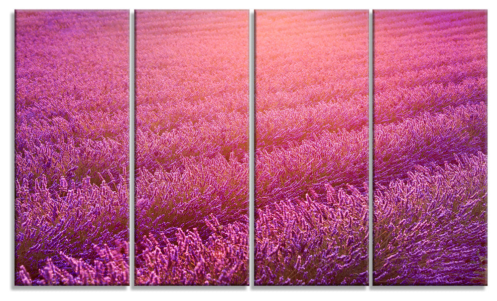 Lavender Field and Ray of Light, Floral Canvas Art Print, 48"x28", 4 Panels