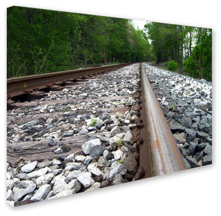 'Guided Journey' Canvas Art by Monica Fleet