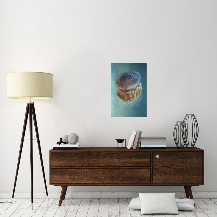 "Jellyfish Phylorhiza Punctata" Stretched Canvas Giclee by Yaron Halevy, 20x30"
