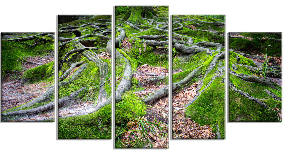 "Green Wild Deep Moss Forest" Landscape Art Print Canvas, 5 Panels, 60"x32"