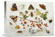 "Butterflies, Moths and Other Insects" Artwork, 22" x 16"