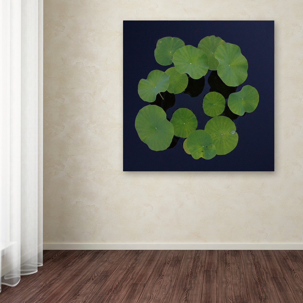 'Giant Lily Pad Abstract' Canvas Art by Kurt Shaffer