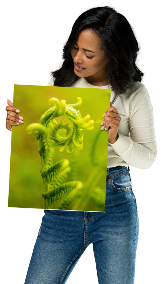 Nature's Perfection Nature Photo, Botanical Unframed Wall Art Print, 11" X 14"