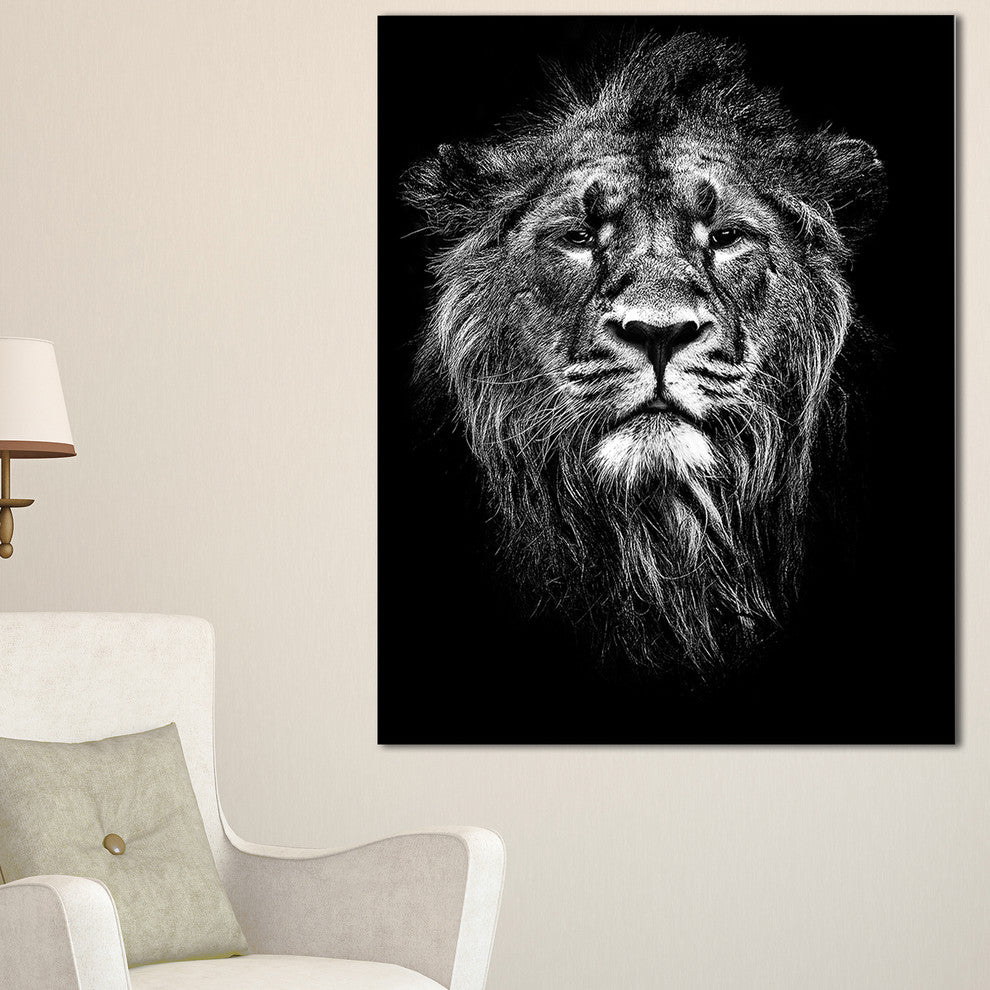 "Male Asiatic Lion" Animal Digital Canvas Print, 30"x40"