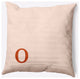 20" x 20" Modern Monogram Indoor/Outdoor Polyester Throw Pillow, Sienna