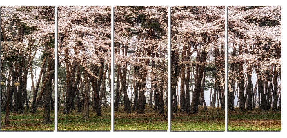 Cherry Blossoms in Pine Tree, Landscape Canvas Art Print, 60"x28", 5 Panels