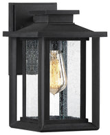Wakefield 1-Light Outdoor Lantern, Earth Black