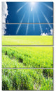 Sunny Field with Green Grassland, Landscape Canvas Art, 28"x48", 4 Panels