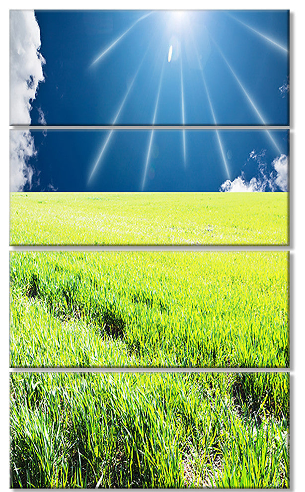 Sunny Field with Green Grassland, Landscape Canvas Art, 28"x48", 4 Panels