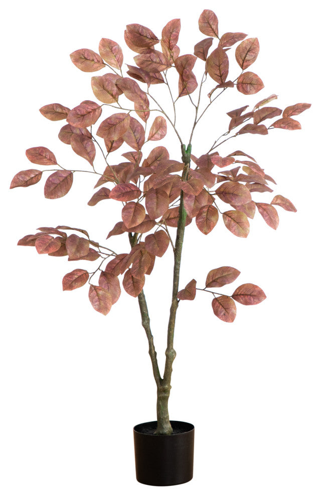 White-background full shot of the entire tree in pot.