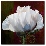 Tina Lavoie 'Coquelicot En Rouge' Canvas Art, 24" x 24"