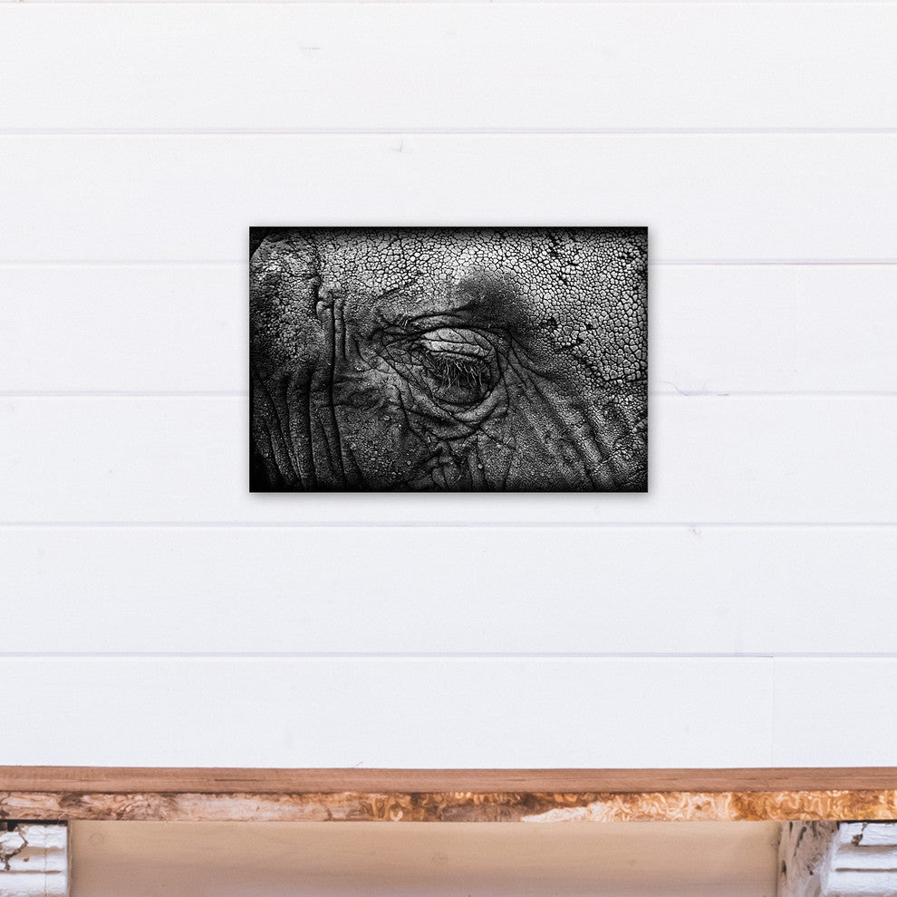 Elephant Skin Texture Print on Canvas