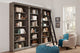 Avondale 8' Tall 3 Bookcases Wall With Ladder