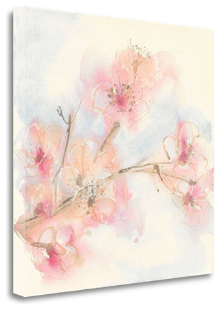 "Pink Blossoms II" By Chris Paschke, Giclee Print on Gallery Wrap Canvas