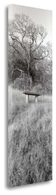 "Novato Oak" By Alan Blaustein,Ready to Hang Giclee Print on Gallery Wrap Canvas