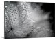 "Cup" Wrapped Canvas Art Print, 24"x16"x1.5"