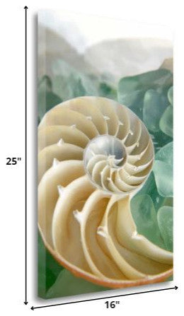 27" Seashell and Seaglass Giclee Wrap Canvas Wall Art