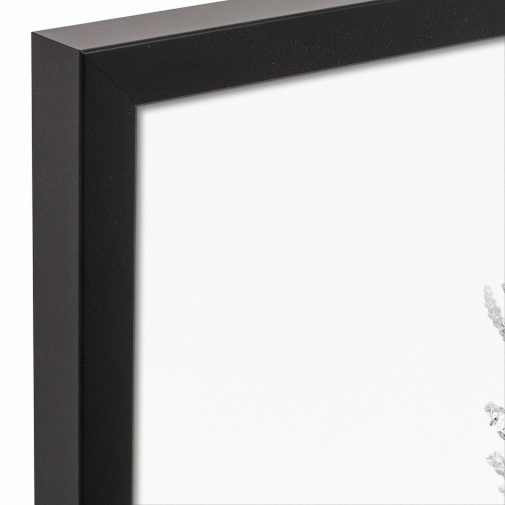 Black and White Transparent Fern 16x20 Black Framed Canvas