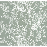 Green Budding Branch Silhouette Wallpaper