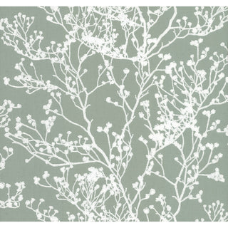 Green Budding Branch Silhouette Wallpaper