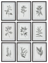 Uttermost Farmhouse Florals Framed Prints, Set of 9