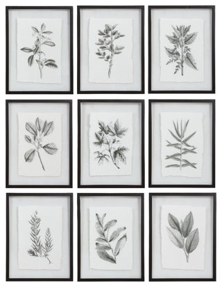Uttermost Farmhouse Florals Framed Prints, Set of 9
