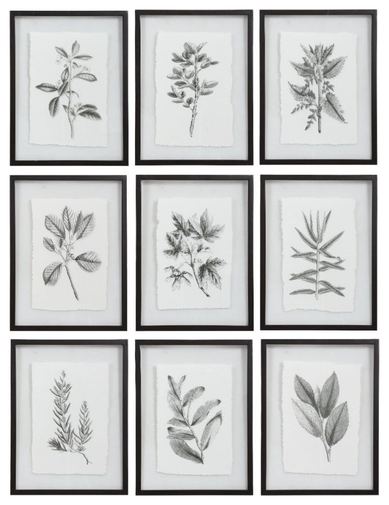 Uttermost Farmhouse Florals Framed Prints, Set of 9