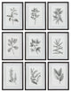 Uttermost Farmhouse Florals Framed Prints, Set of 9