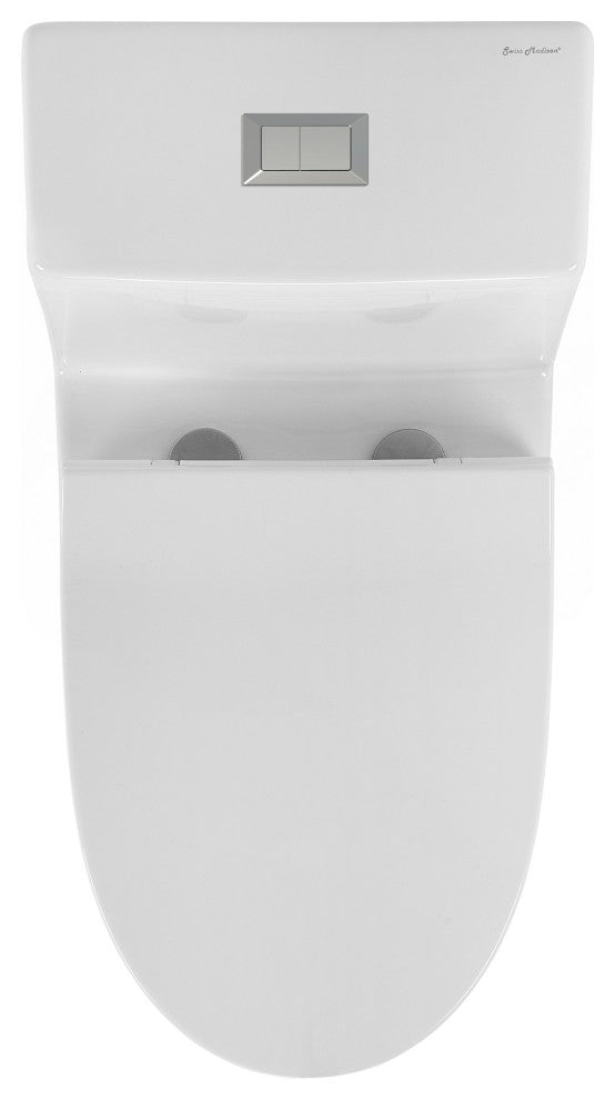 Daxton One Piece Elongated Dual Flush Toilet 1.1/1.6 GPF