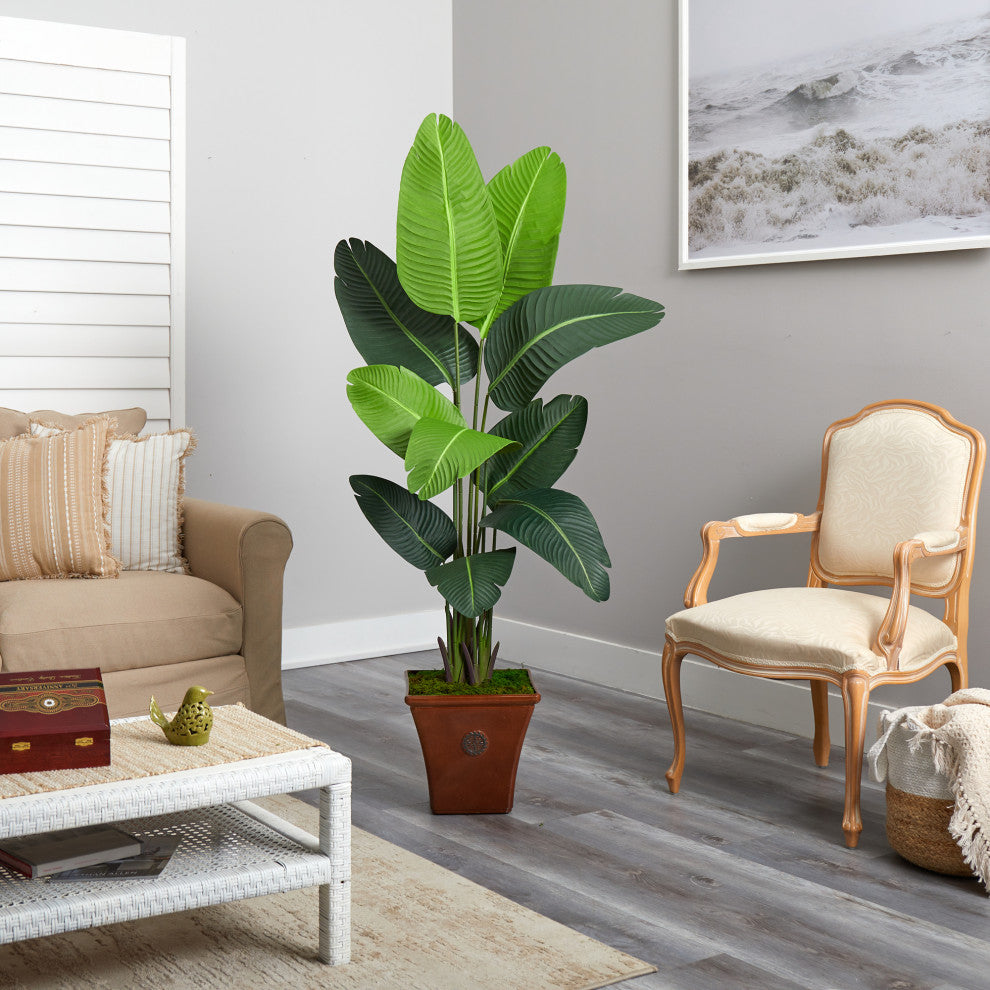 5.5' Travelers Palm Artificial Tree, Brown Planter