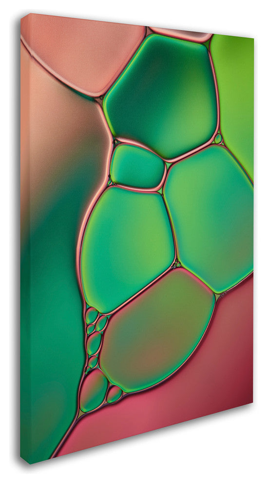 Cora Niele ''Stained Glass V'' Canvas Art