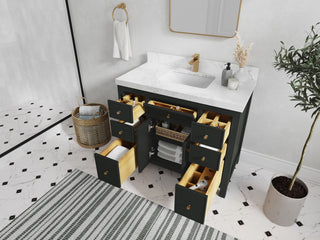 Sonoma 42" Single Sink Bath Vanity in Black Top, 2" Viola Night