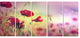 Beautiful Poppy Flower Garden, Floral Canvas Art Print, 60"x28", 5 Panels
