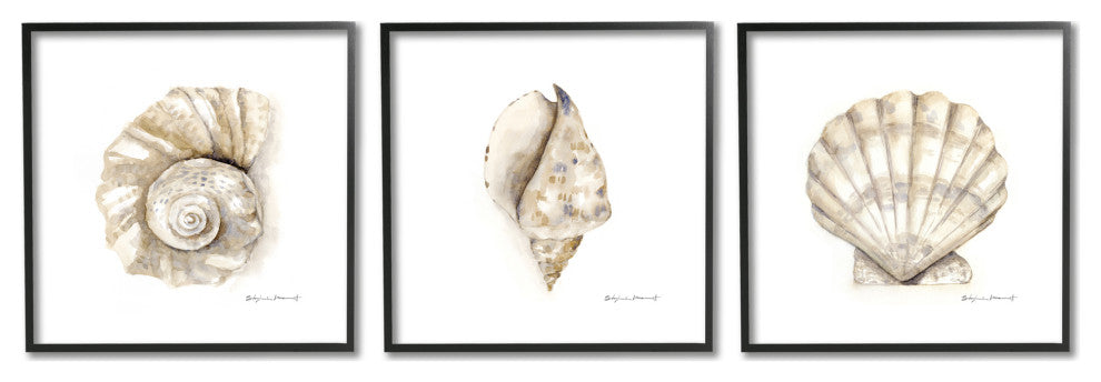 Soft White Patterned Seashells Nautical Natural Neutrals,3pc, each 17 x 17