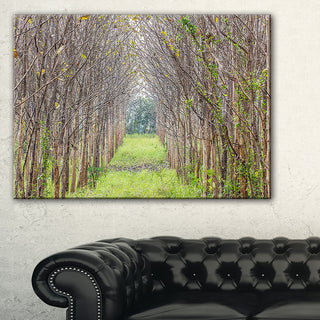 "Pathway Through Fall Green Trees" Landscape Photo Wall Art, 32"x16"