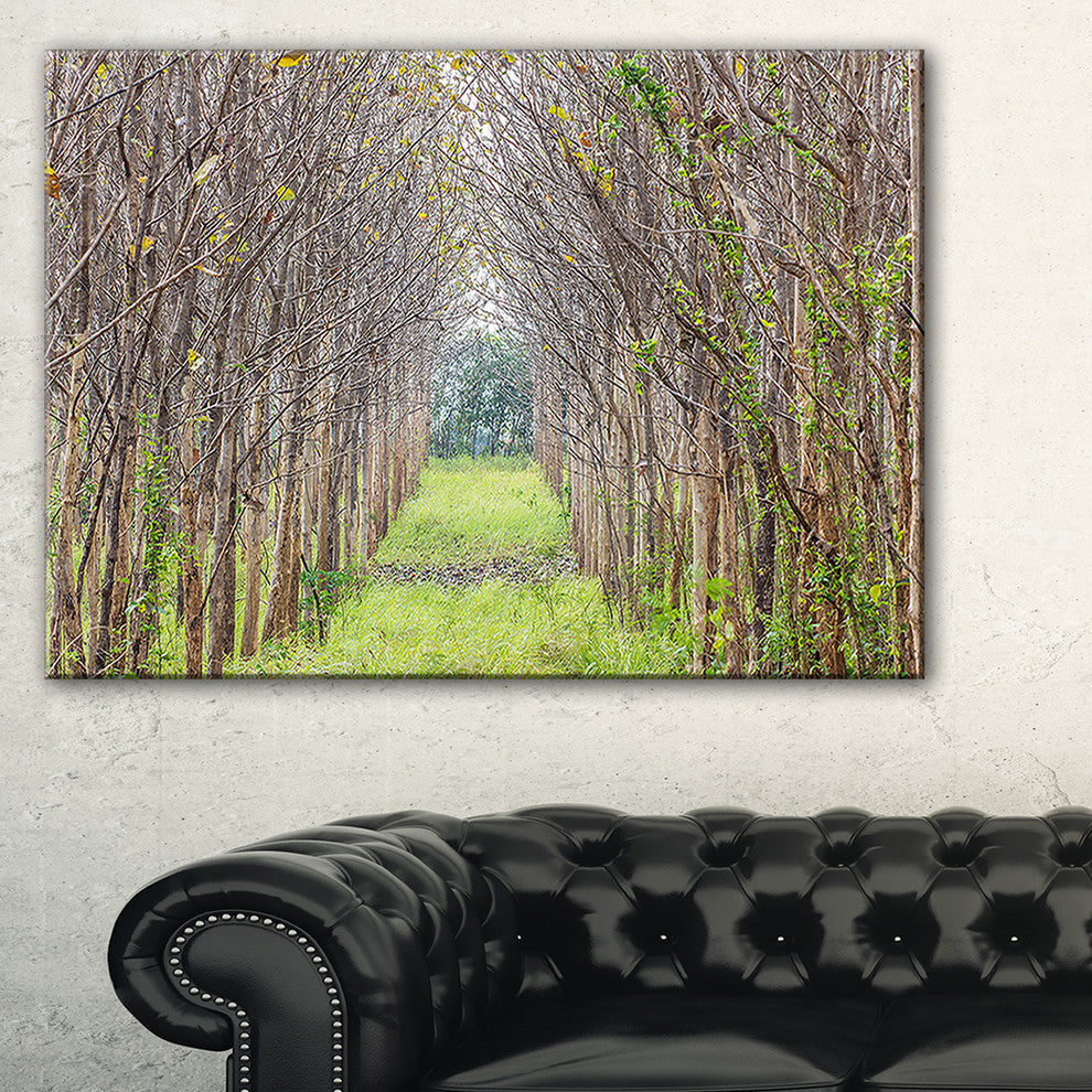 "Pathway Through Fall Green Trees" Landscape Photo Wall Art, 32"x16"