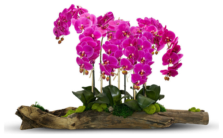 Large Log Filled With Orchids, Fuschia