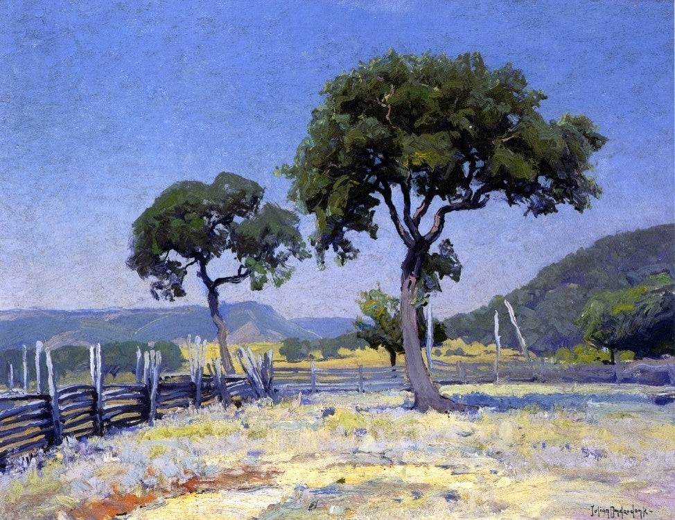 Julian Onderdonk Live Oak Trees On Williams' Ranch Bandera County Wall Decal