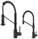 Bolden Commercial Style Pulldown Kitchen Faucet and Water Filter Faucet MB